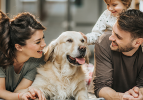 The Top Factors to Consider When Choosing a Pet Dog for Your Family